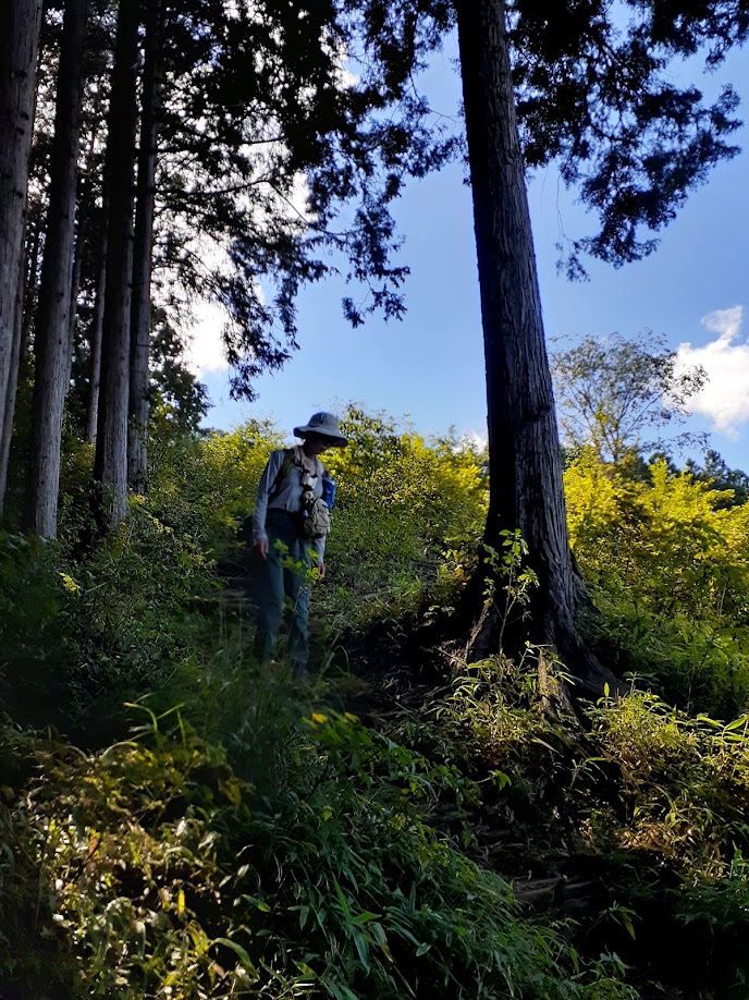 嬬恋村鹿沢 村上山