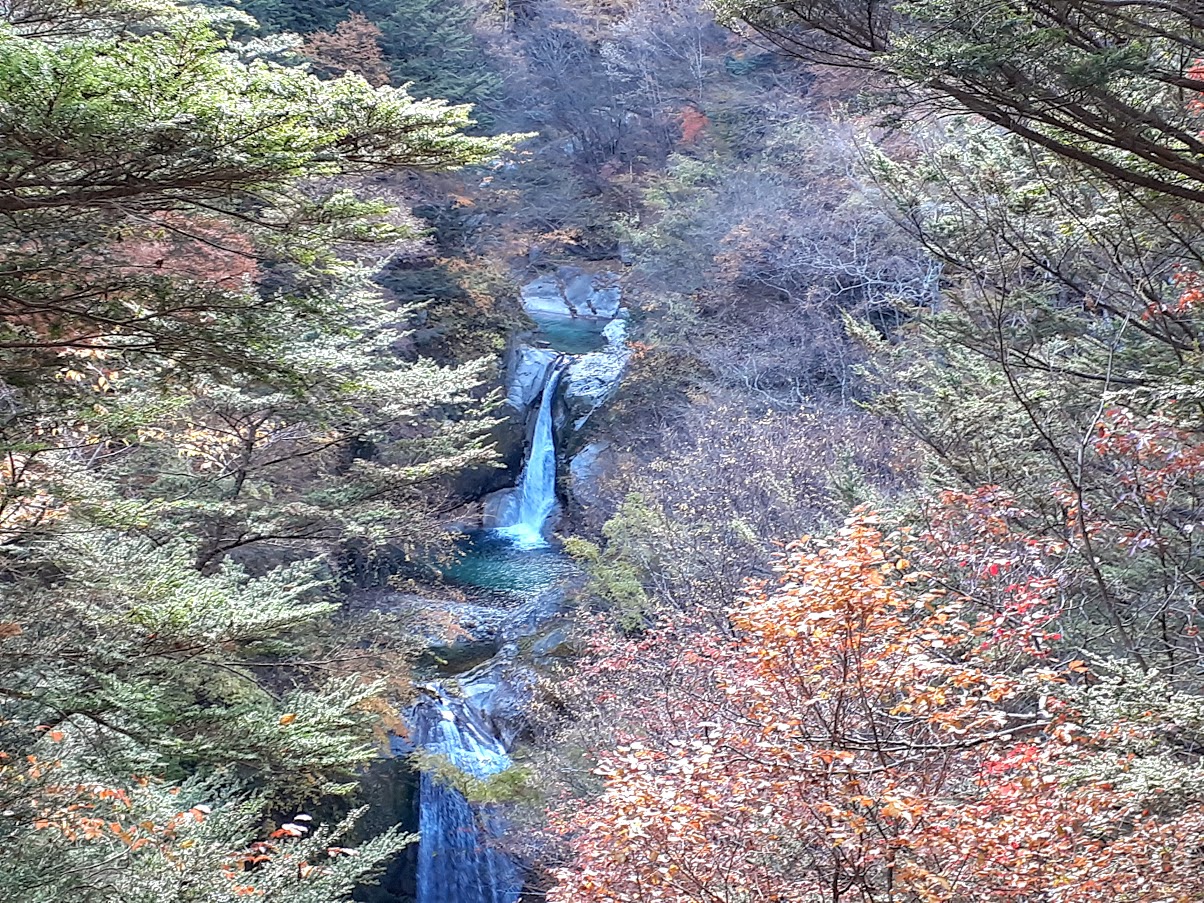 嬬恋村鹿沢 村上山