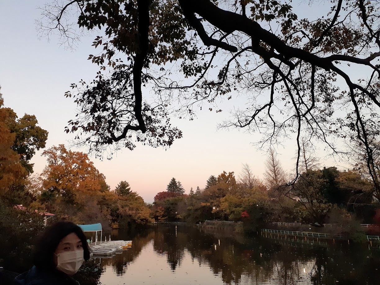 嬬恋村鹿沢 村上山